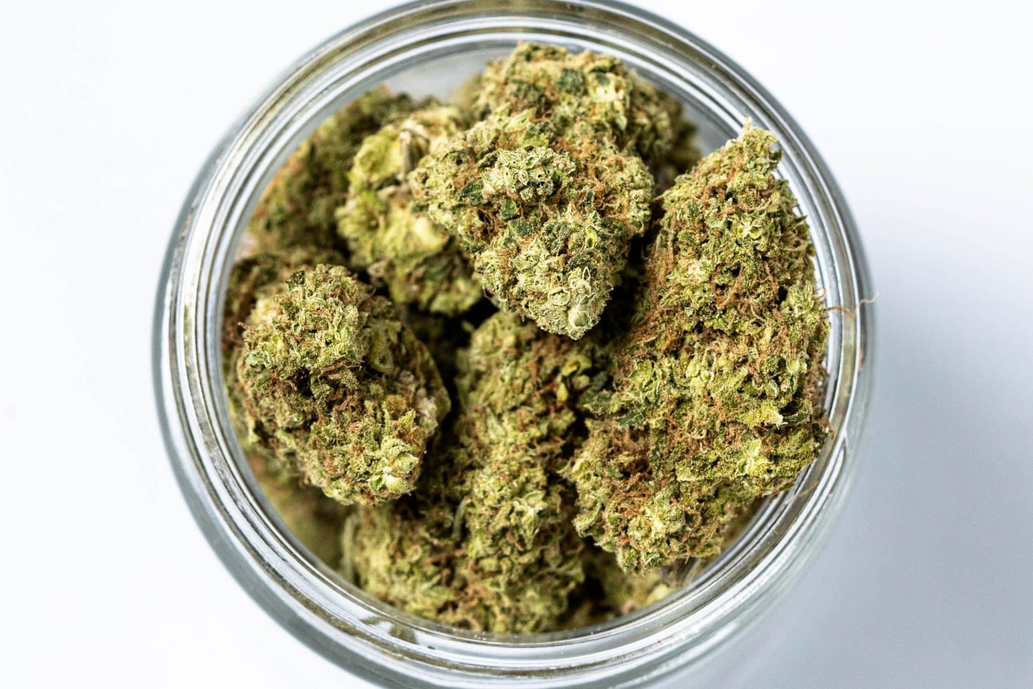 Lemon OG Kush (AAA) 2
