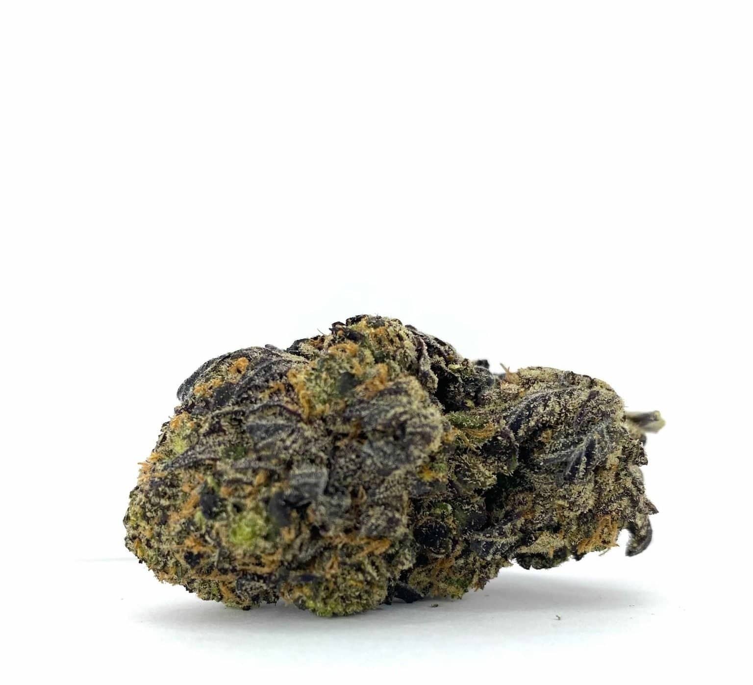 Pink Poncho (AAAA+)