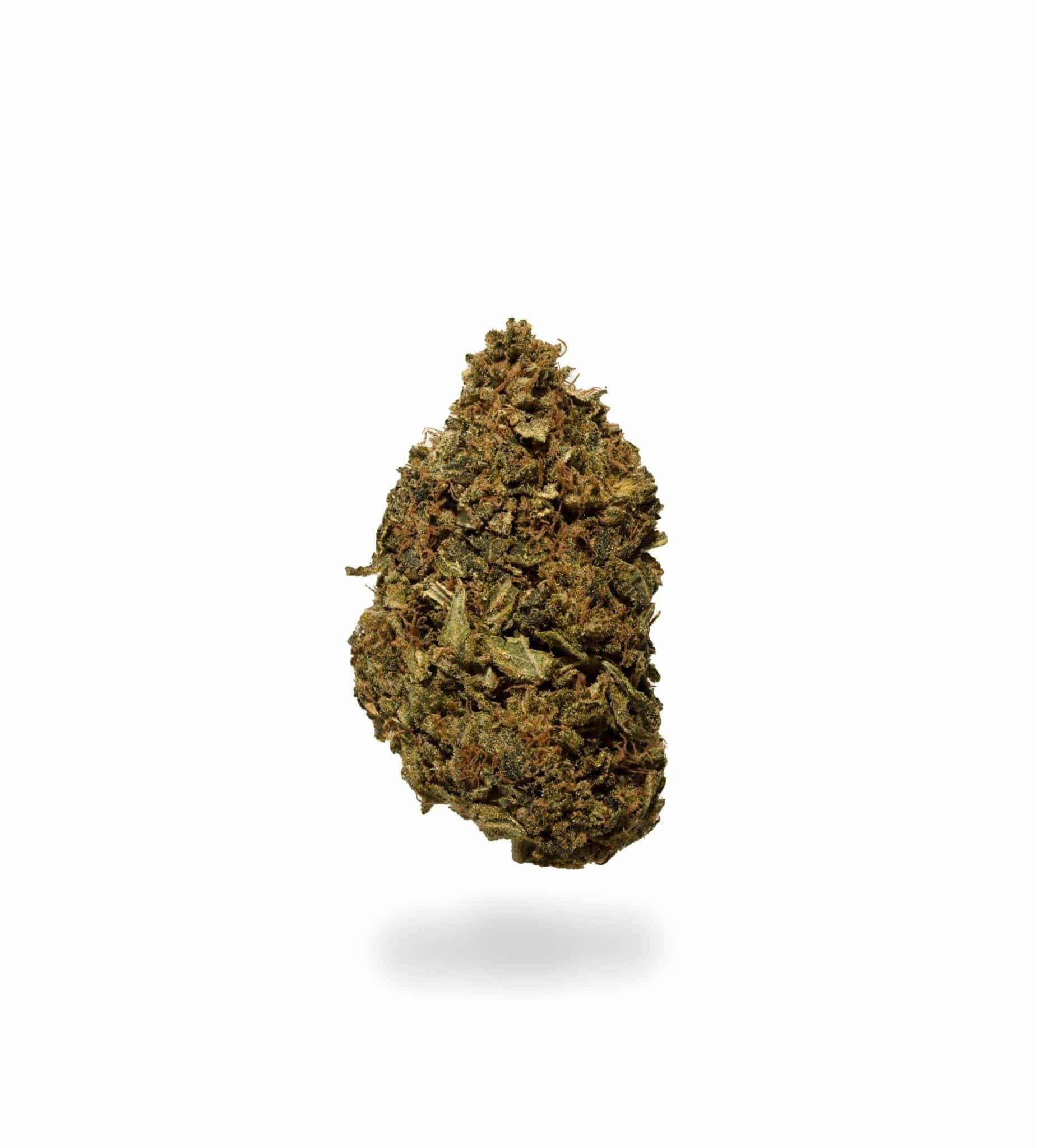 Black Scotti (AAA+)