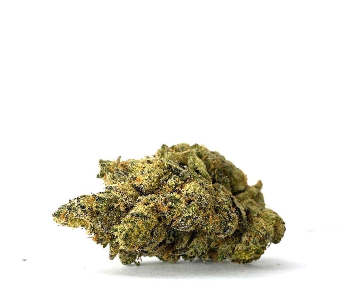 Funky Monkey *GAS* (AAAAA+)