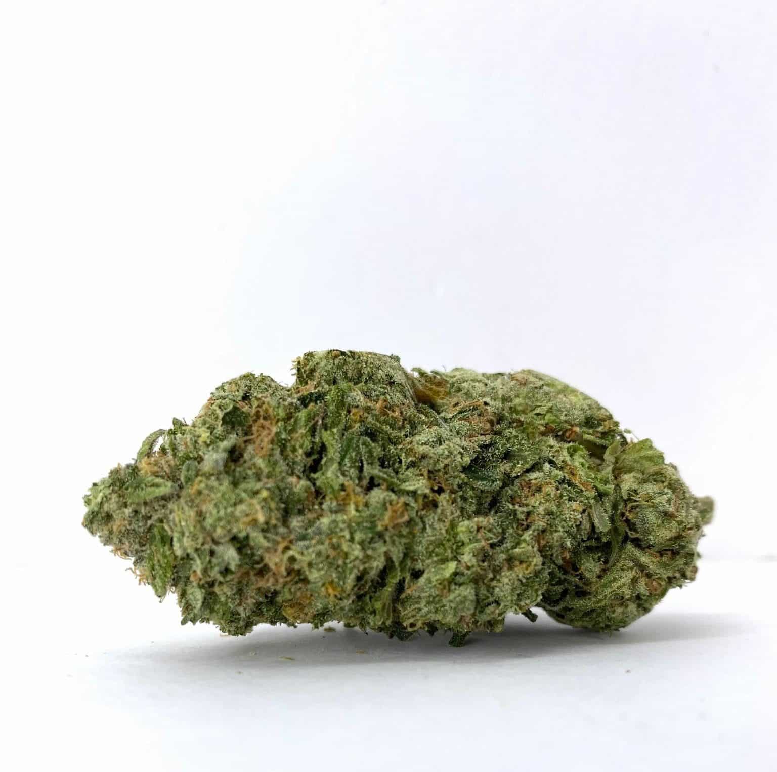 Avalanche (AAAA+)