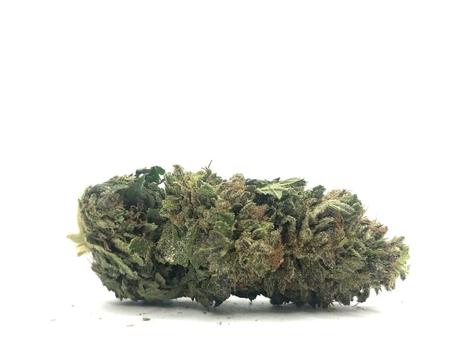 Jamaican (AAA-)