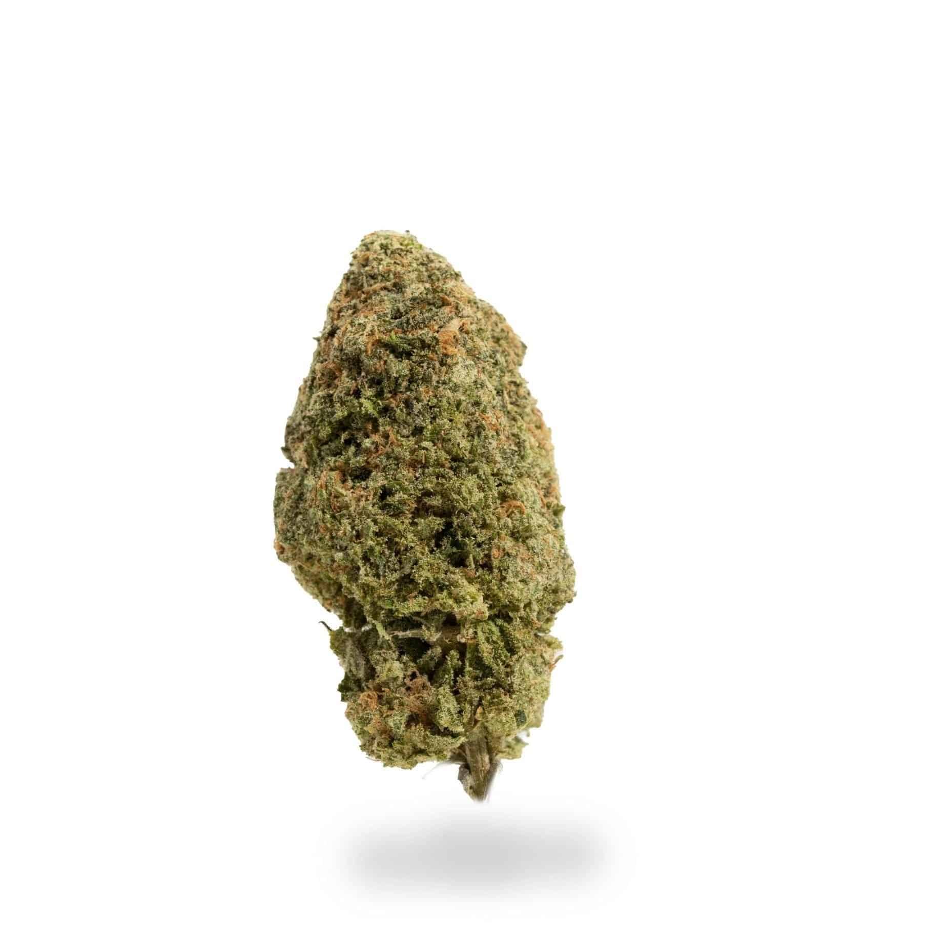 Justin Trudeau Kush (AAA+)
