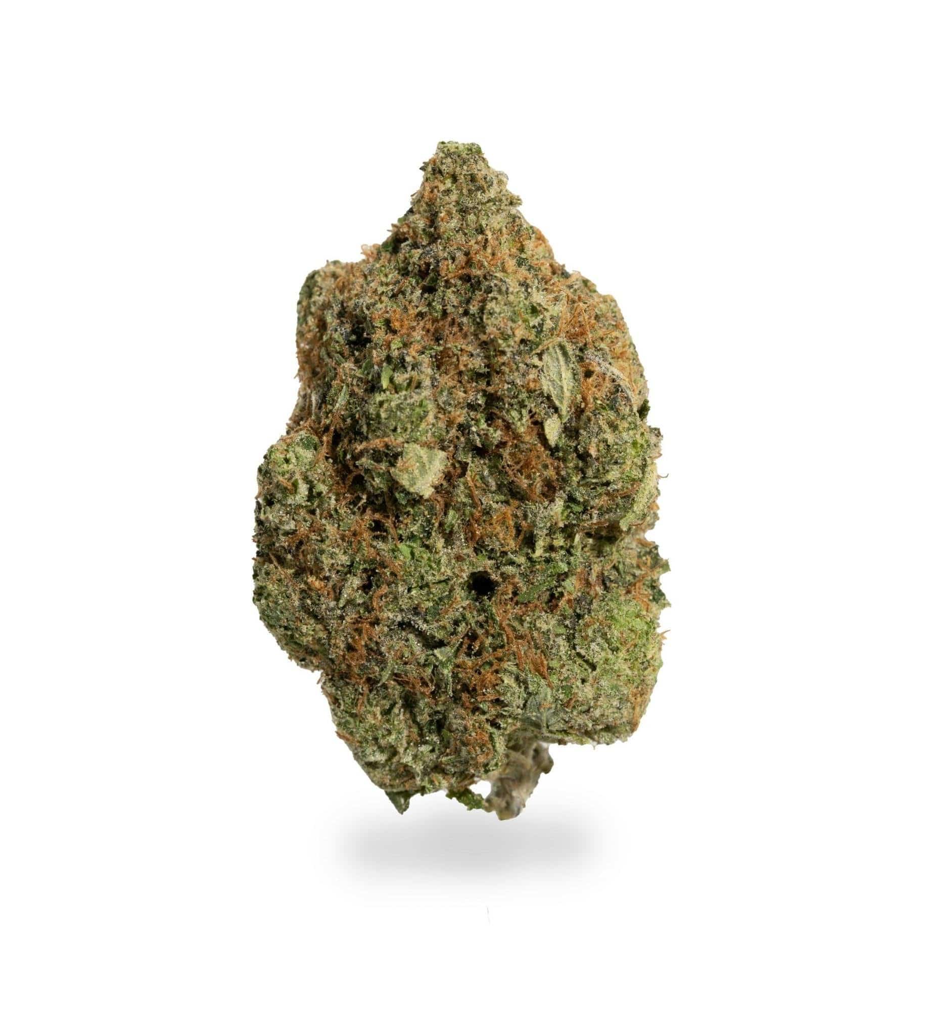 Gas Monkey (AAAA) 2