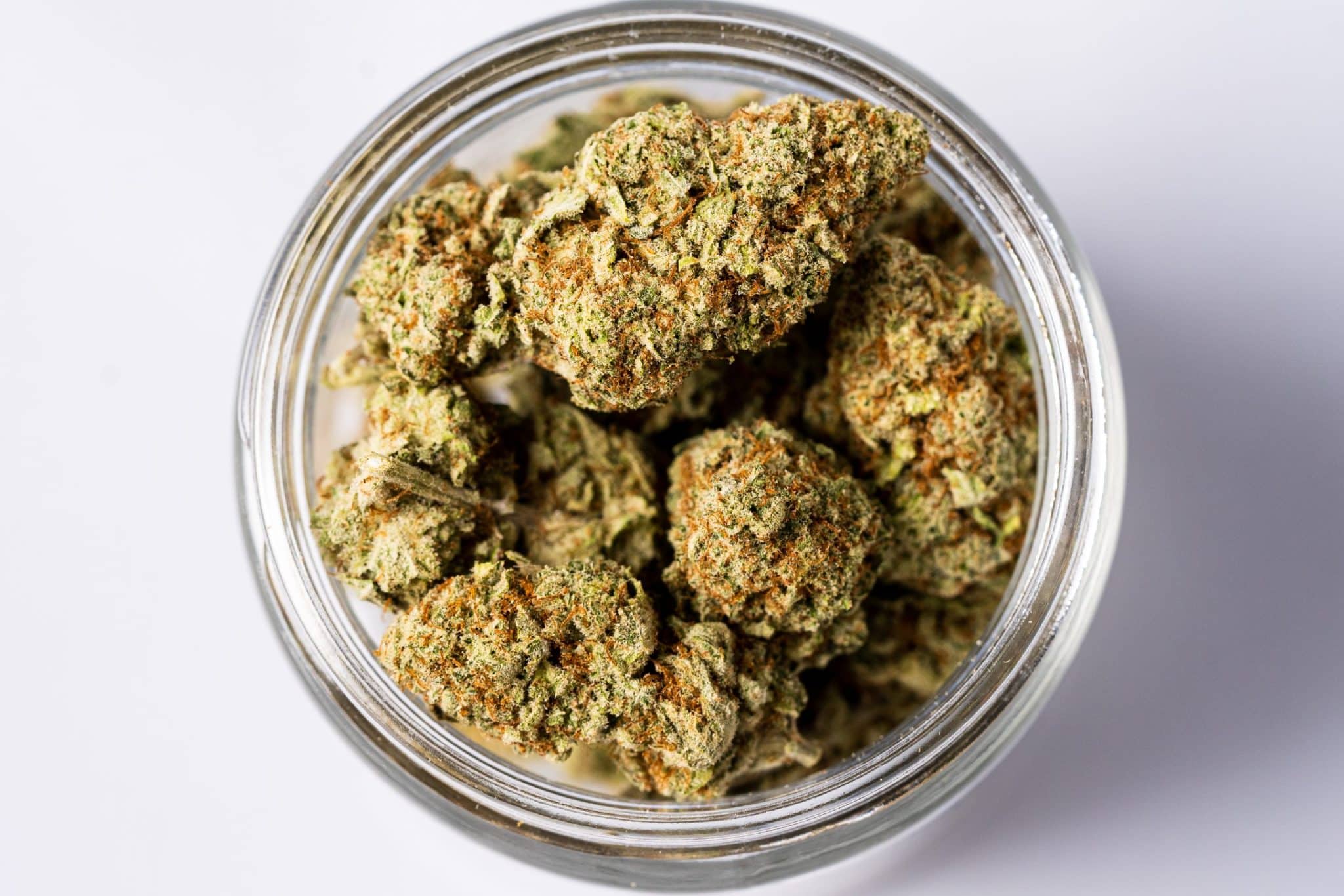 Zkittlez Glue (AAAA-) 2