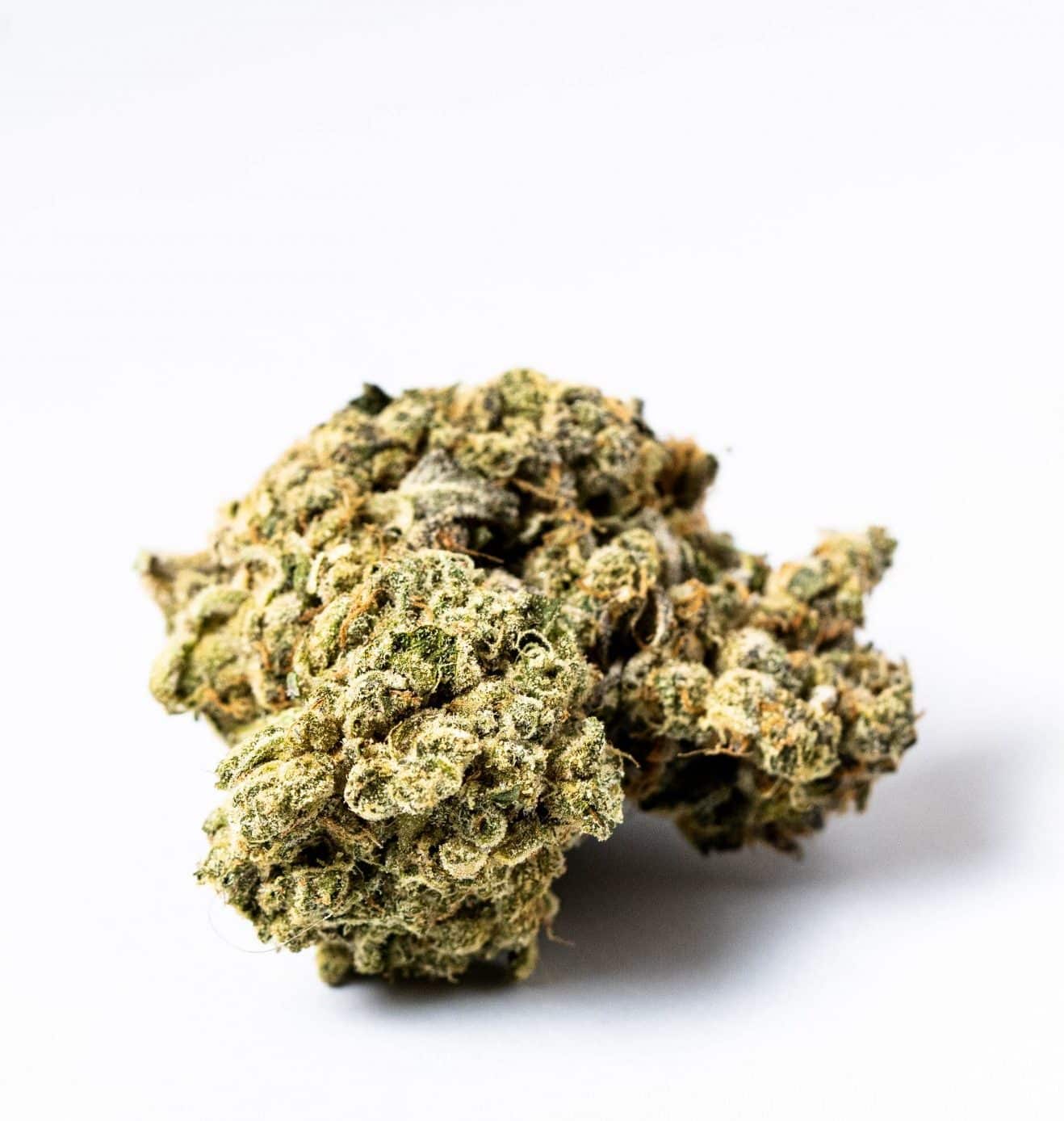 Mint Chocolate Chip *GAS* (AAAAA+)