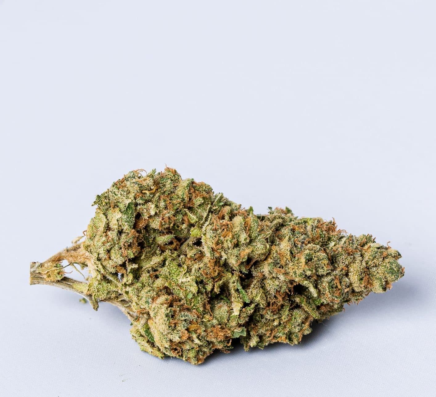White Choco Haze (AAA+)
