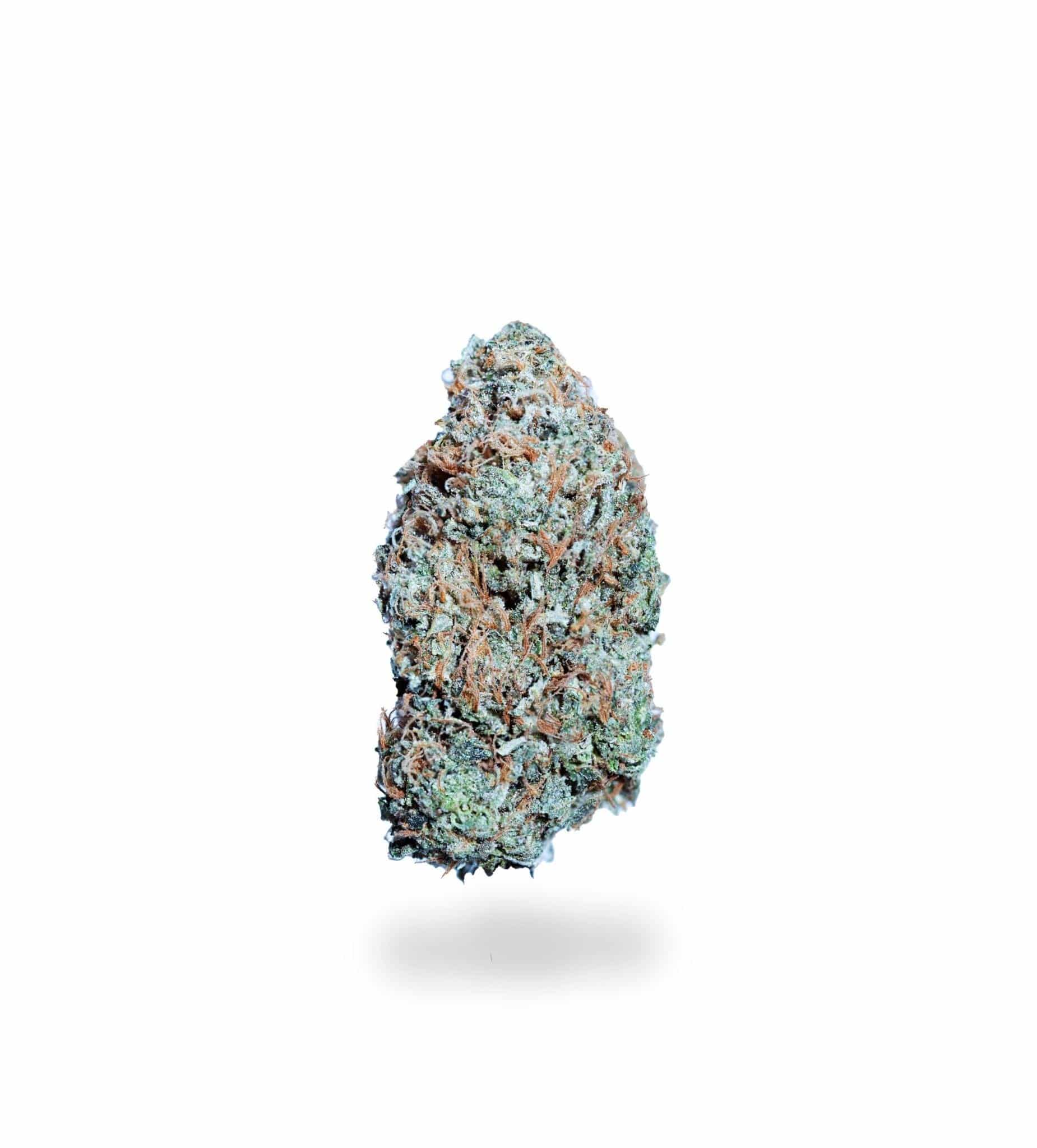 Alien Bubba (AAA+)