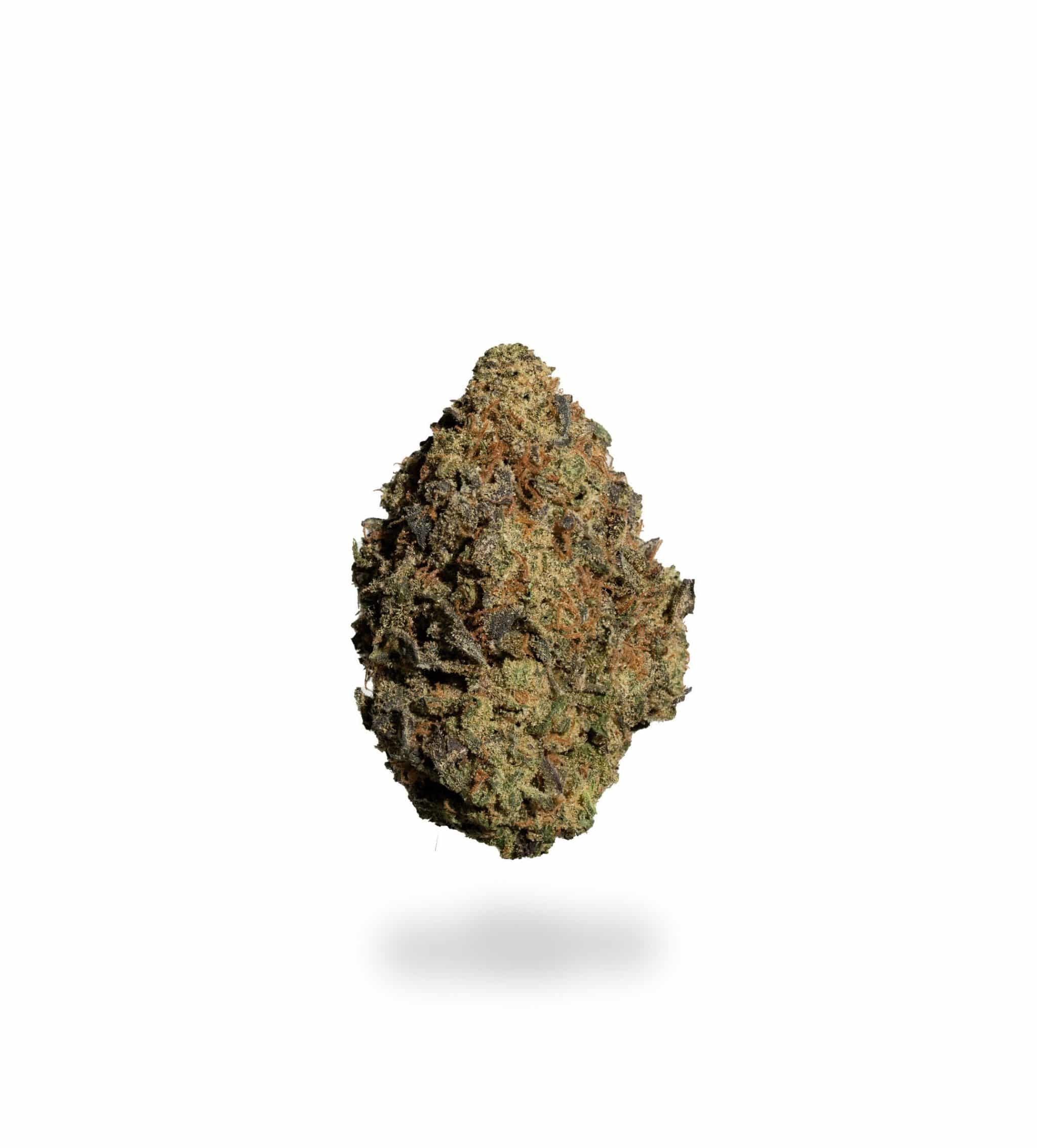 Death Scout (AAA)