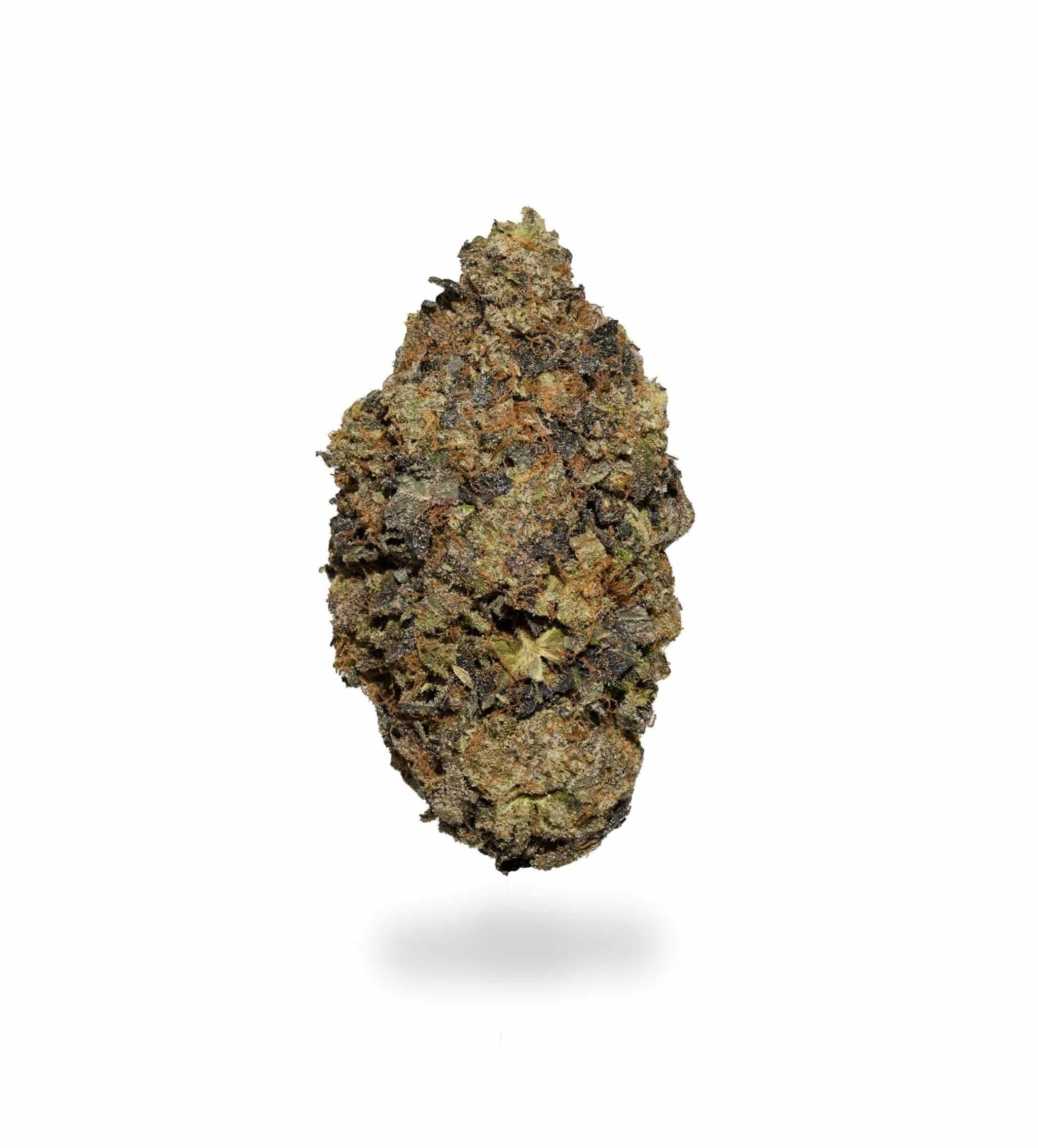 Critical Widow (AAAA)