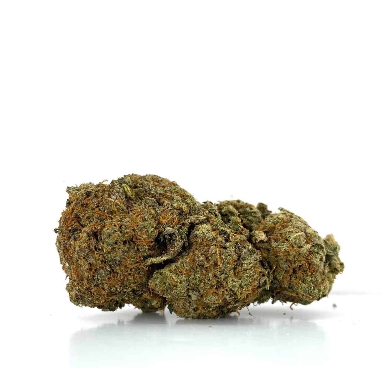 Afghan Hammer (AAA-)