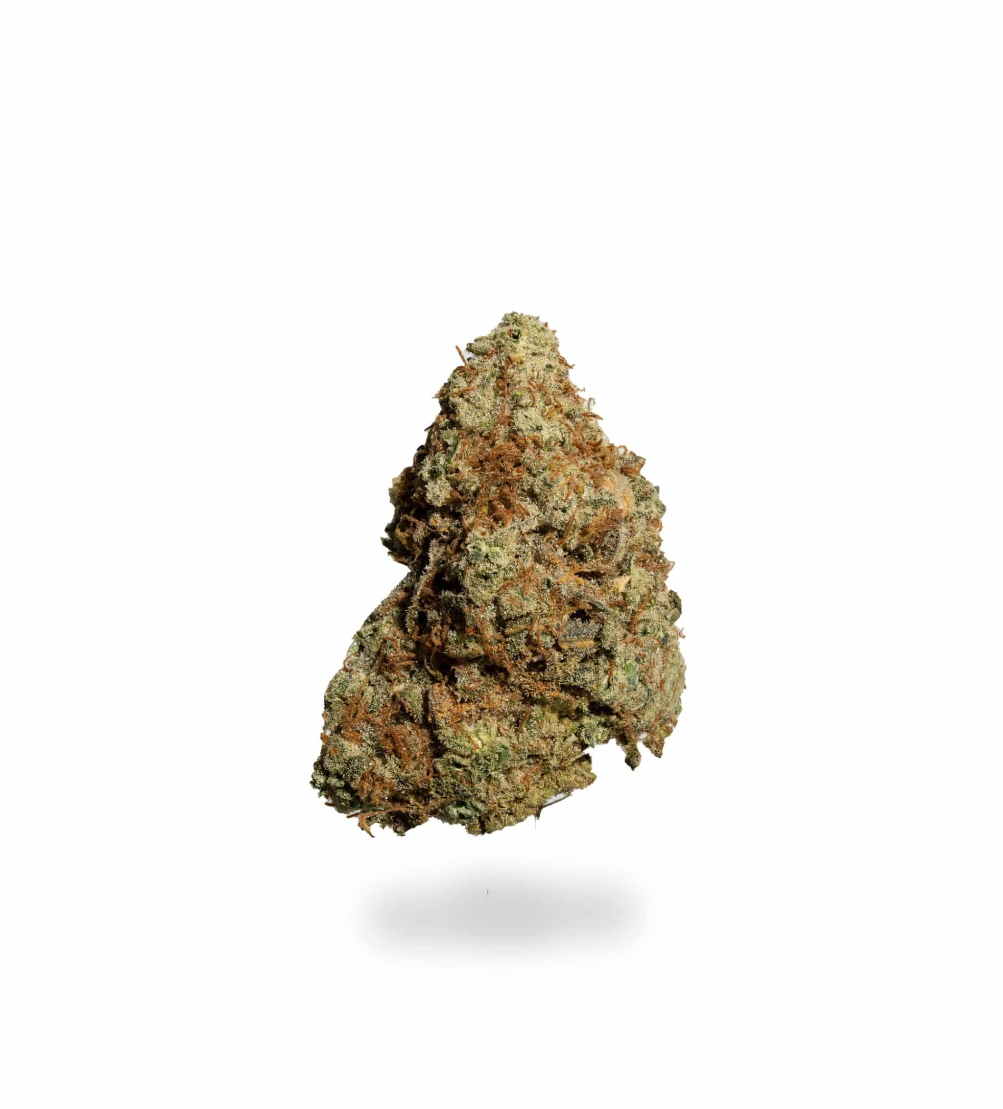 Papaya (AAA)