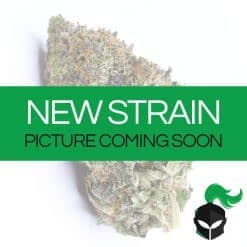 Blackberry OG (AA-)