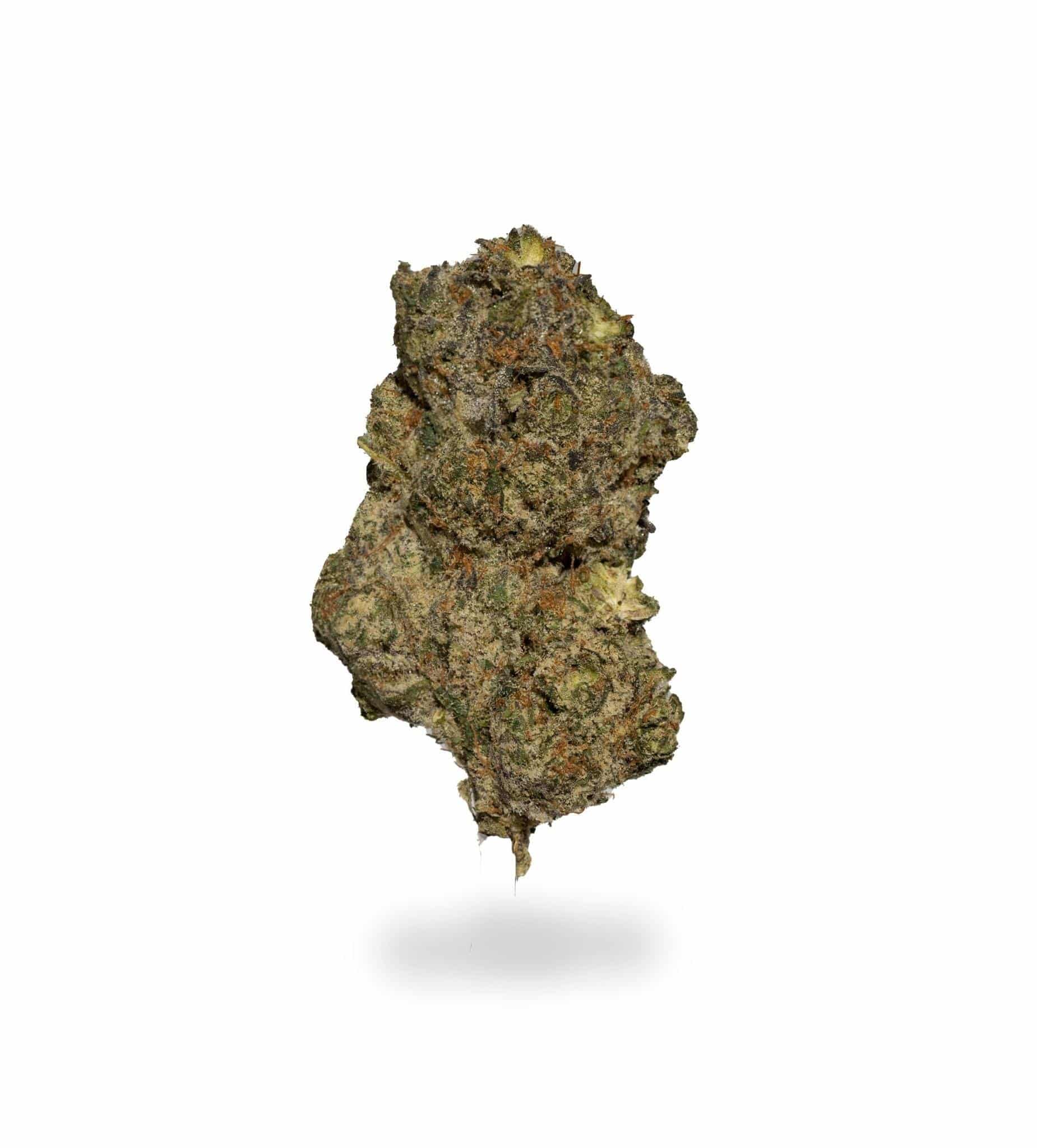 Black Triangle (AAA+)