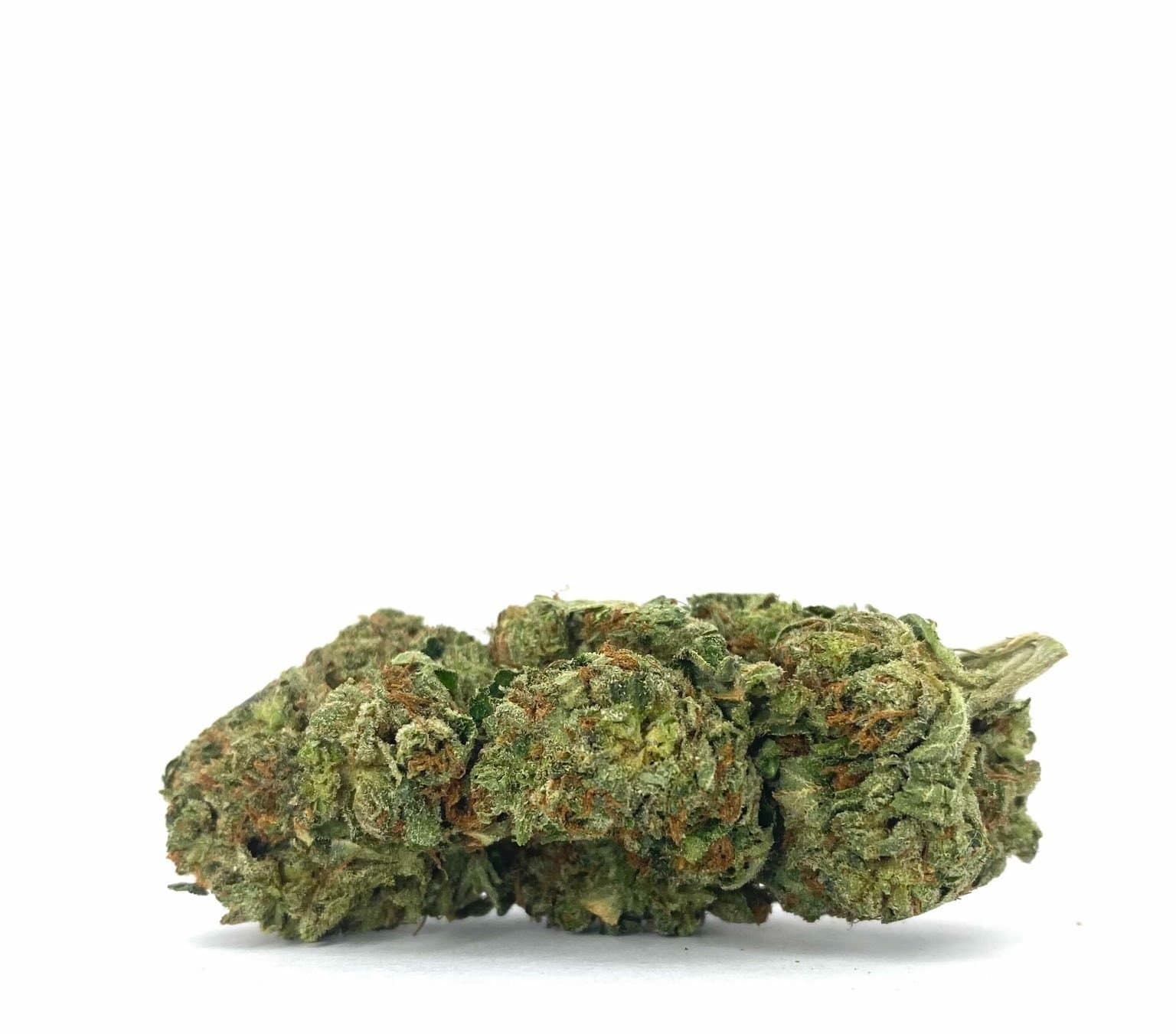 Golden Papaya (AAA-)