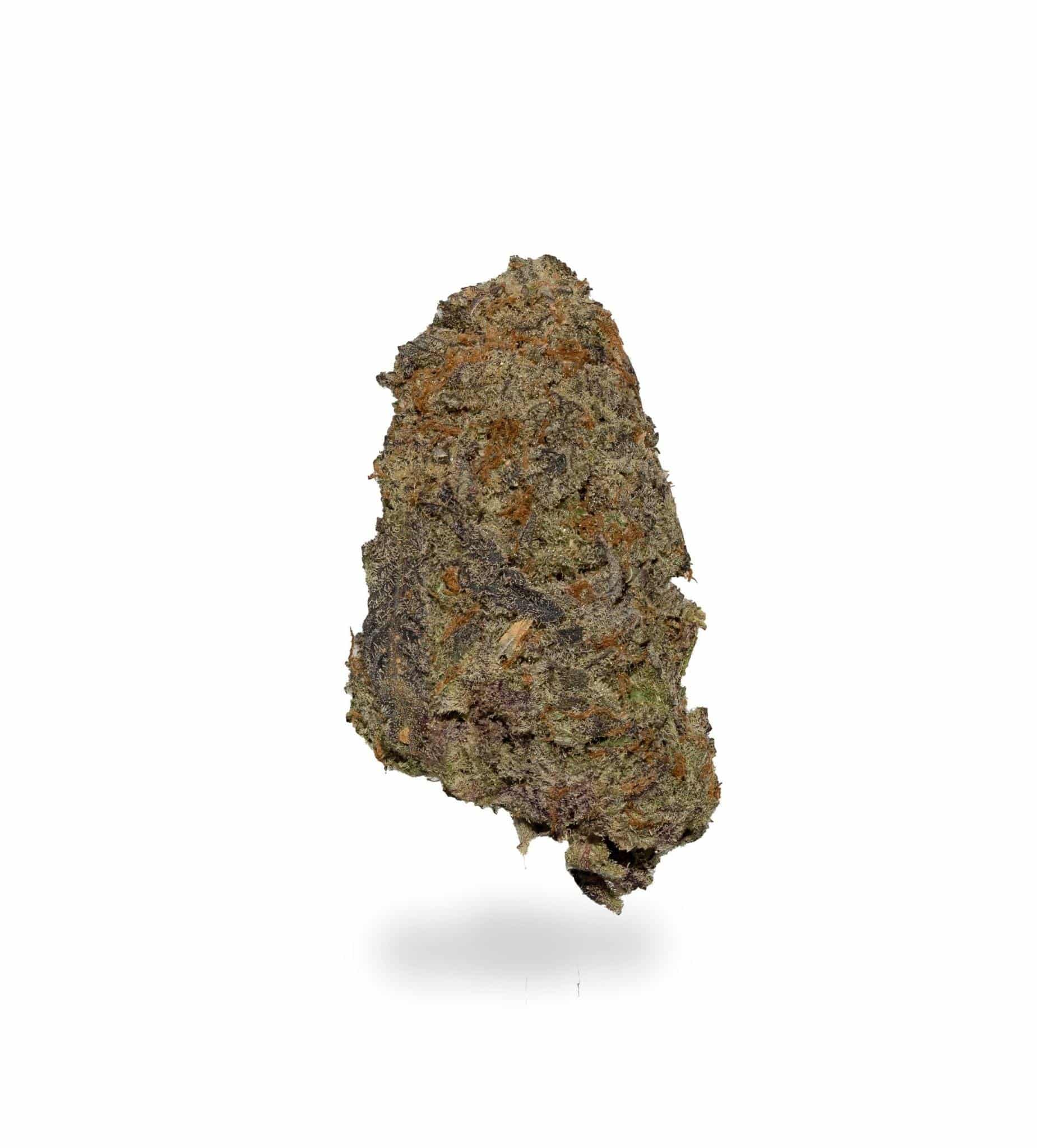 Purple Gas Mask (AAAA)