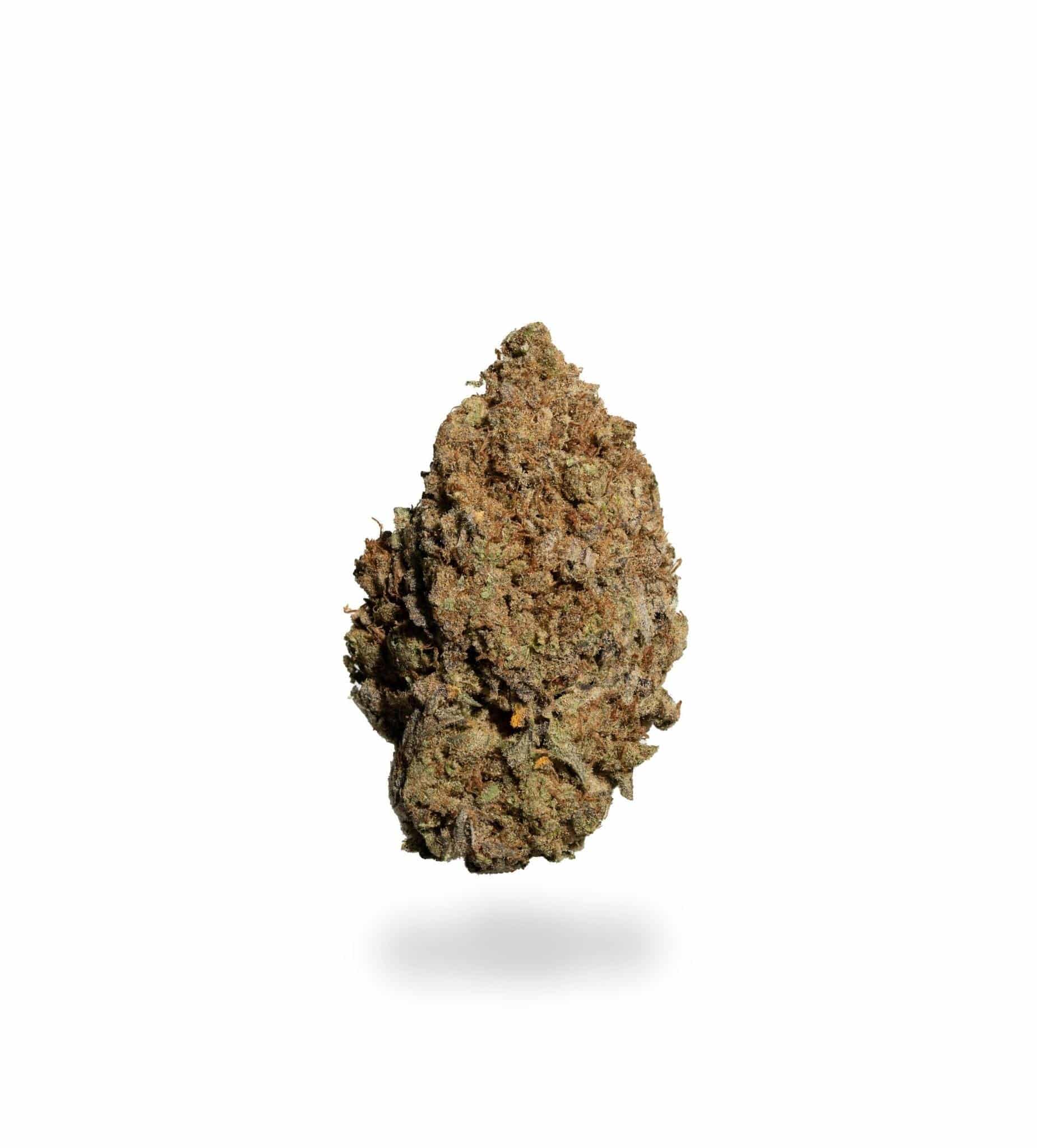 Buddha Tahoe (AAAA)