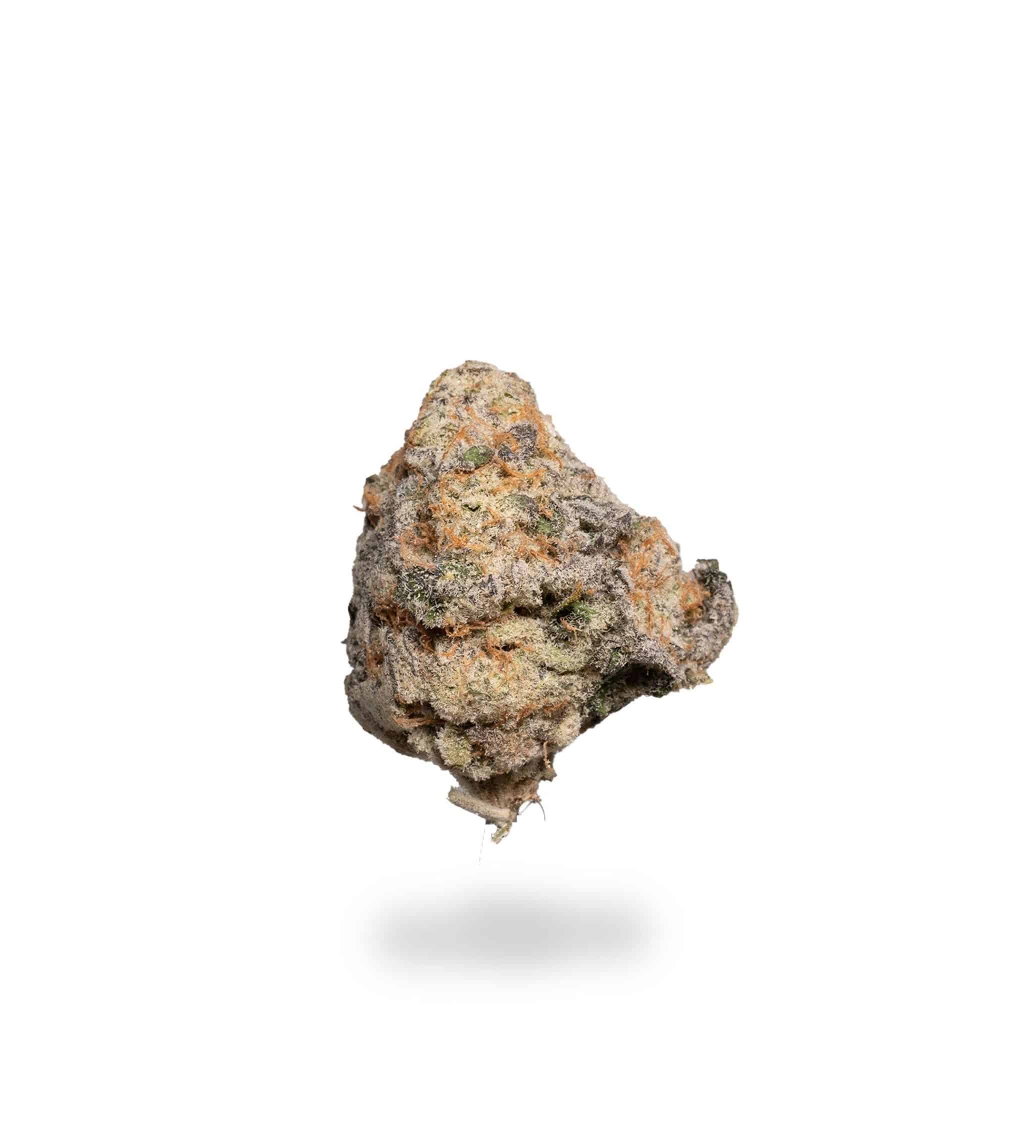 420 Glue (AAA+)