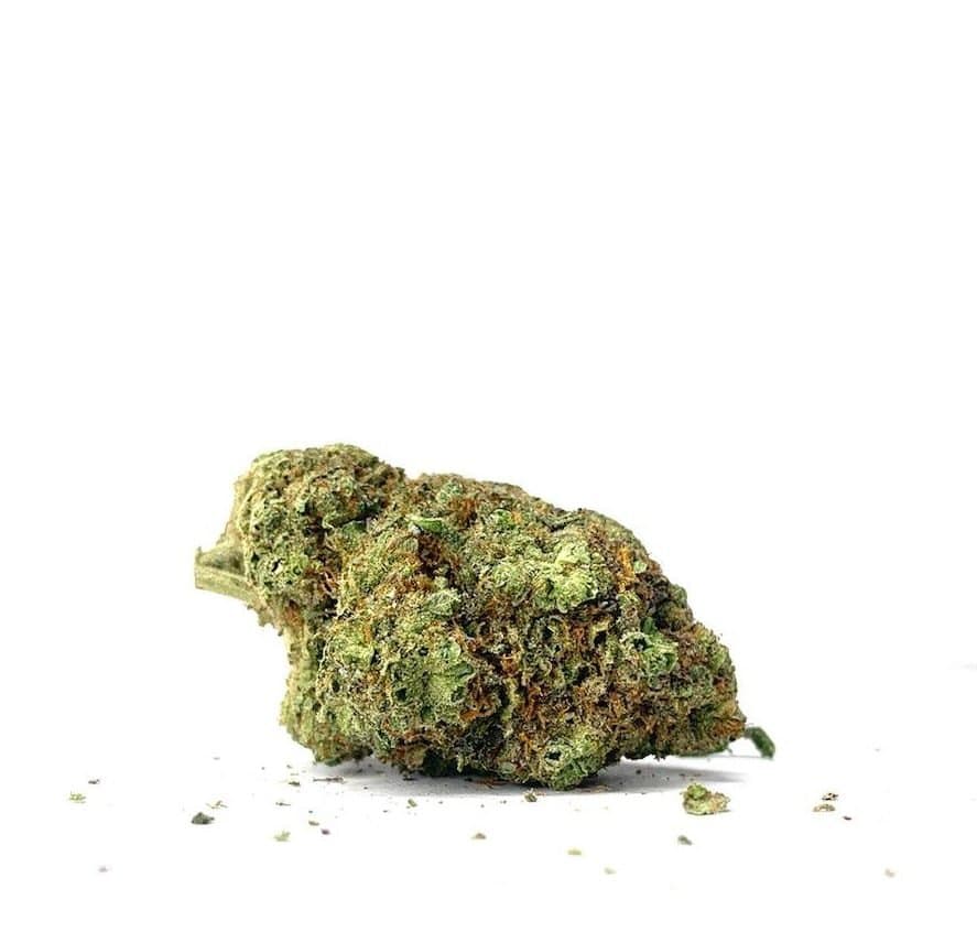 Dutch Treat (AAA+)