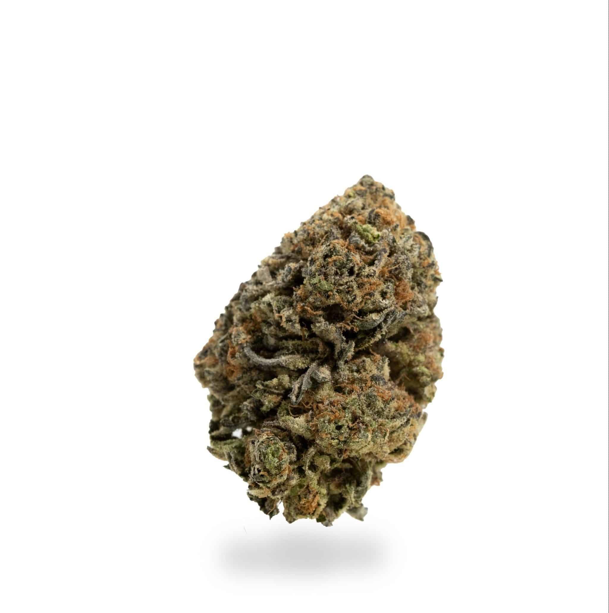 Animal Mints (AAA) 3