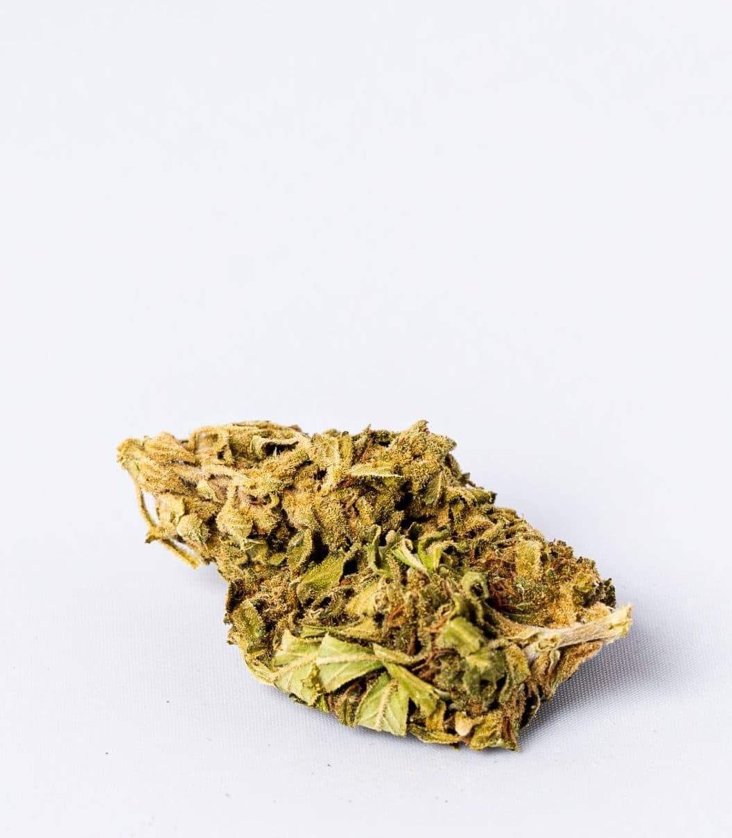 Critical Mass (AA-)